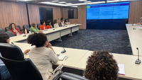 Grupo de trabalho sobre enfrentamento à violência política contra mulheres faz balanço em reunião de encerramento