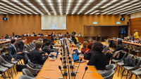 CEDAW divulga recomendações ao Estado brasileiro sobre direitos das mulheres