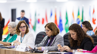 Em reunião do G20, ministra das Mulheres cobra ação global para proteger a vida e evitar desastres climáticos como o do RS
