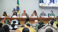 COP30: Ministra das Mulheres debate justiça climática e igualdade de gênero em seminário na Câmara Federal