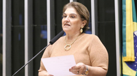 Câmara dos Deputados mobiliza Poderes e sociedade civil em debate estratégico contra o feminicídio