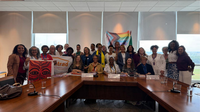 Conselho Nacional dos Direitos da Mulher fortalece articulação institucional e agenda de enfrentamento à violência contra mulheres e meninas